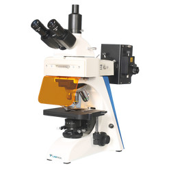 Fluorescence Microscope : Fluorescence Microscope LFM-C10