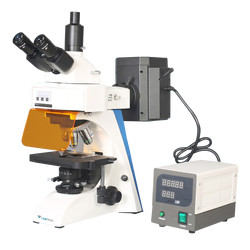 Fluorescence Microscope : Fluorescence Microscope LFM-C11